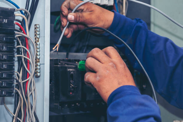 Best Electric Panel Repair  in Valley Falls, SC